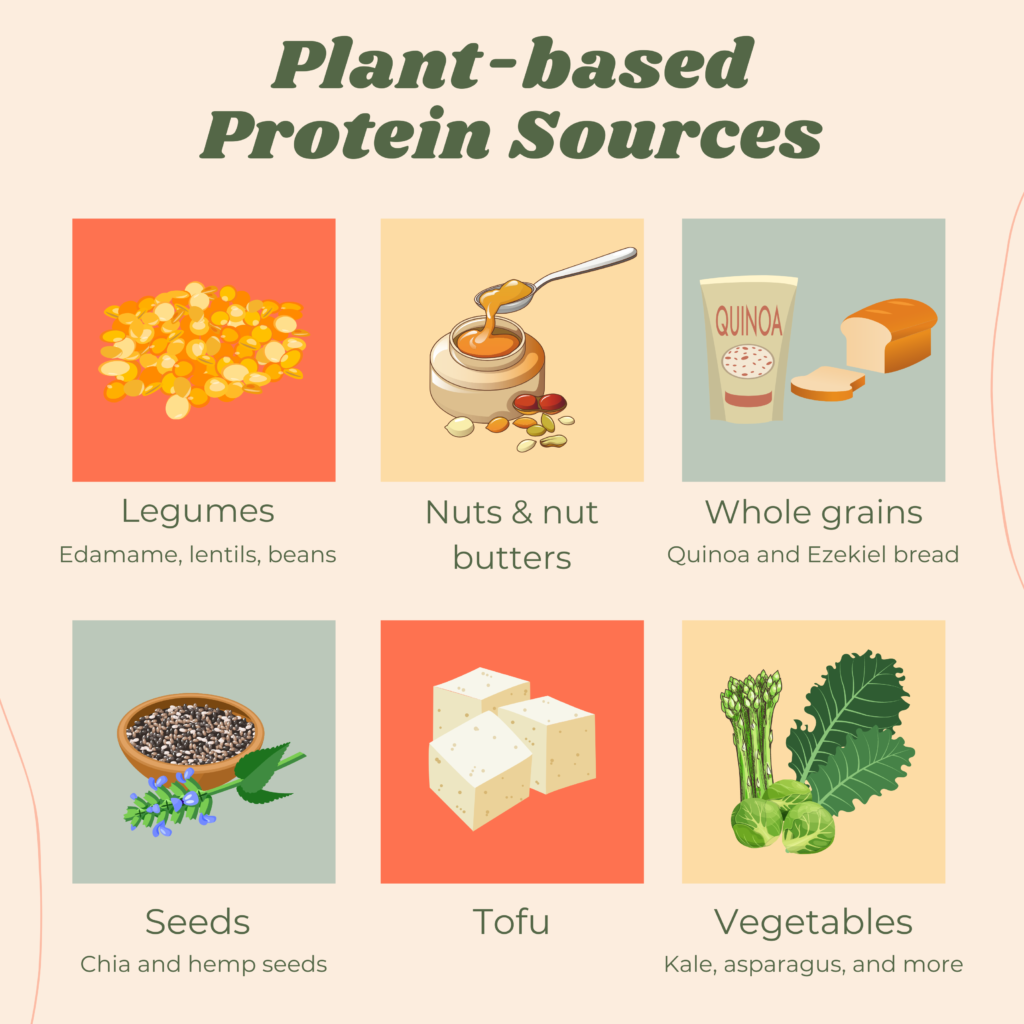 Infographic with examples of plant-based sources of protein including legumes, nuts & nut butters, whole grains, seeds, tofu, and vegetables.
