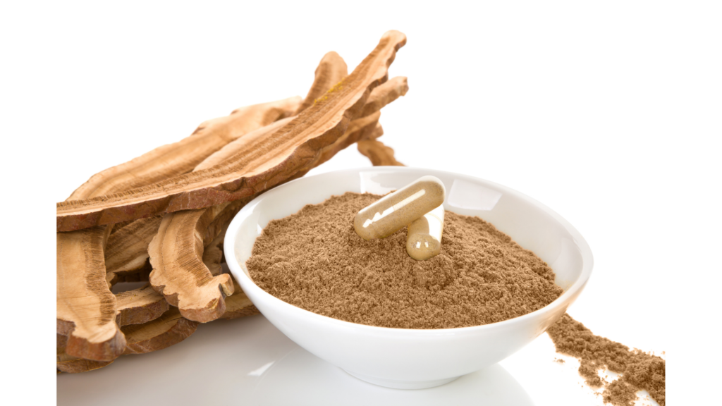 "An image featuring a white bowl filled with ground reishi mushroom powder, with a few reishi mushroom placed behind it. Atop the bowl rests a single pill capsule containing reishi extract.