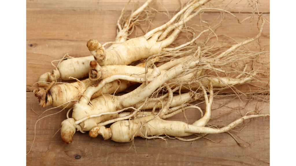 Six ginseng roots arranged neatly on a rustic wooden background, showcasing the natural beauty and organic quality of the roots.