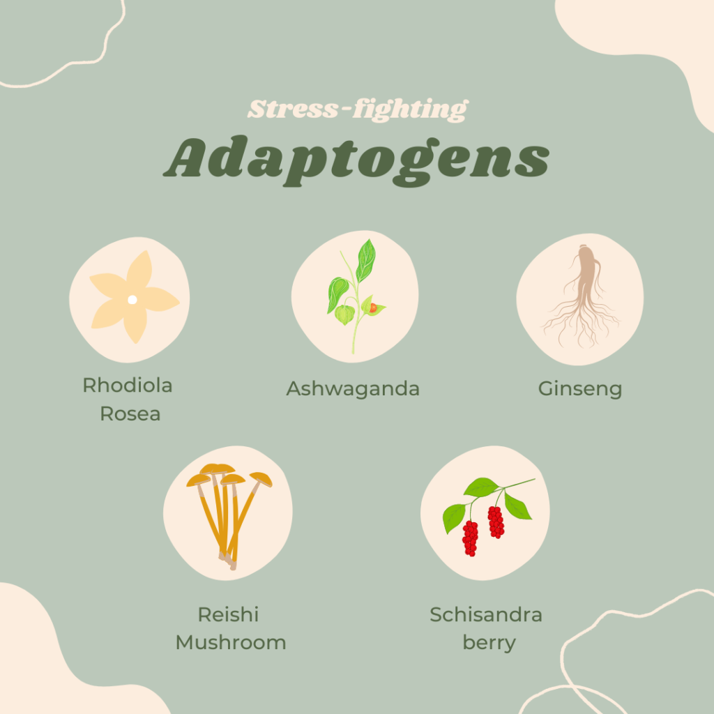 Table listing different adaptogens including Rhodiola rosea, ashwagandha, ginseng, Reishi mushroom, and Schisandra berry