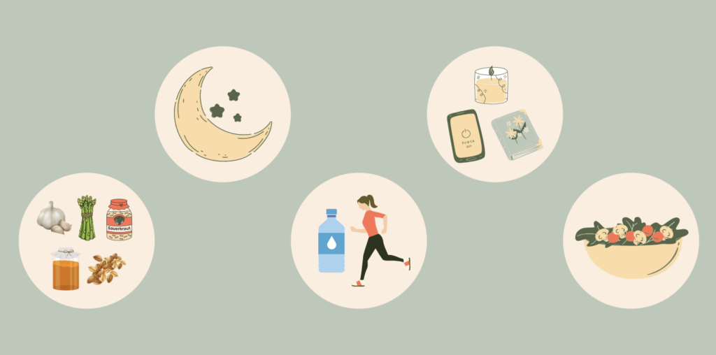 Graphic describing the factors that impact gut health: sleep, diet, exercise, stress, and probiotics.